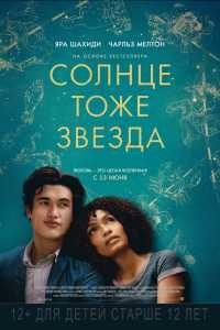 Солнце тоже звезда (2019)